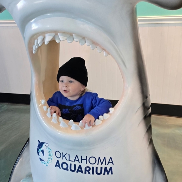 Like To Be Notified When I Go Live - Picture 11 of 13